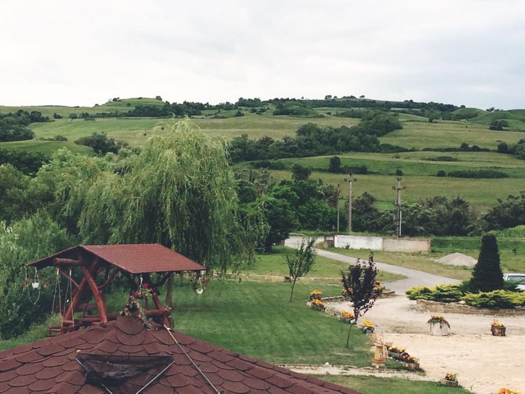 Pensiunea Violeta Saschiz Luaran gambar